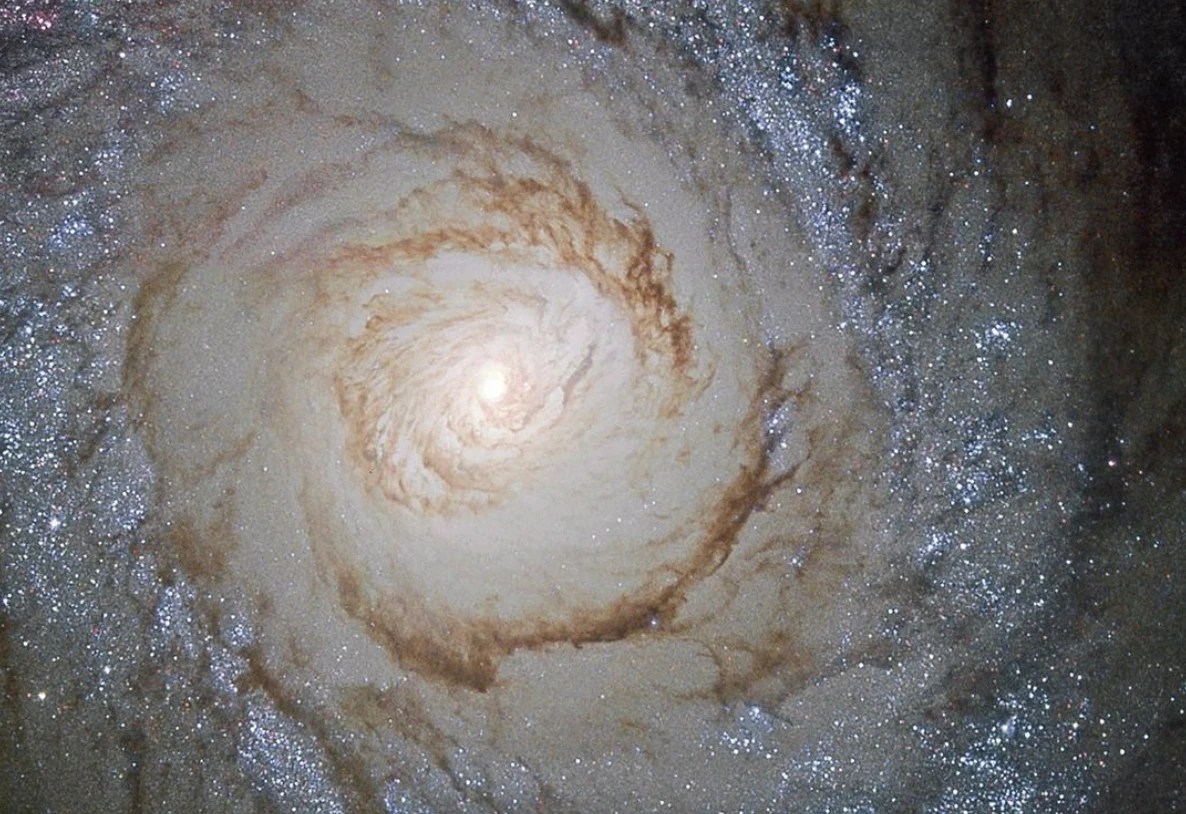 A massive spiral galaxy fills the image. Its central, glowing core shines in pale yellow and is surrounded with spiral arms laced with dark brown dust. A ring of bright bluish-white stars surrounds the galaxy.⁣