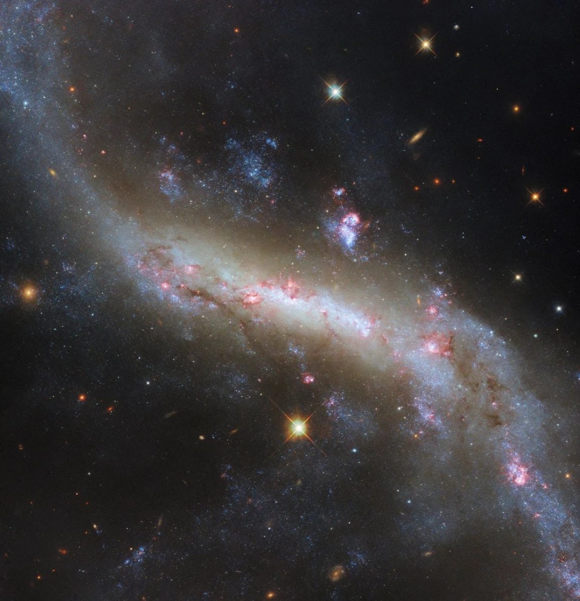 A close-in view of a barred spiral galaxy. The bright, glowing bar crosses the center of the galaxy, with spiral arms curving away from the bar’s ends and continuing out of view. Bright patches of light where stars are forming surround the bar, which also holds dark lines of dust. 